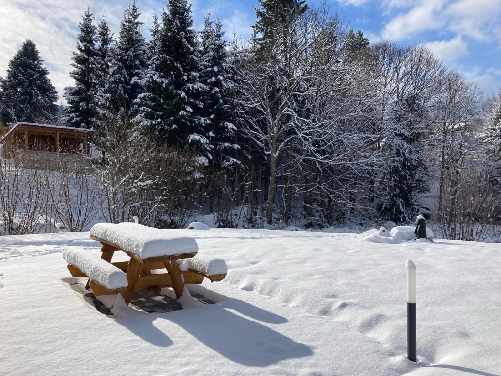 La Cabane Des Ecureuils Xonrupt-Longemer Ngoại thất bức ảnh